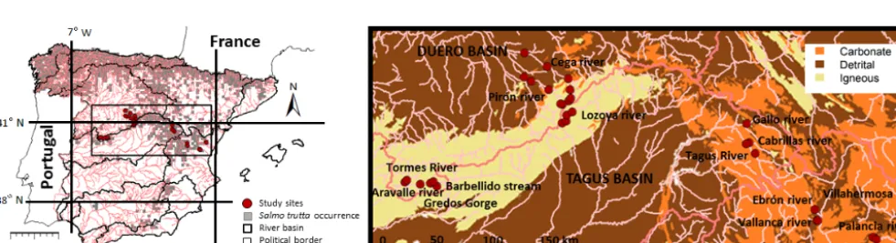 Figure 2. River network and location of the study sites (water temperature data loggers), with details regarding lithology