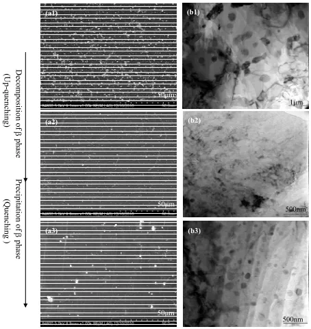 Figure 5. BSEM images of specimens: (a1) Non-EPT; (a2) 151 Hz-EPT; (a3) 294 Hz-EPT and TEM bright field images of specimens: (b1) Non-EPT; (b2) 151 Hz-EPT; (b3) 294 Hz-EPT, showing changes of β phase precipitate with vari-ous frequencies of static electrop