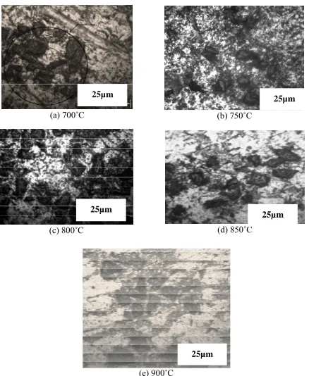 Figure 2. Optical image shows particles distribution at 20 minutes holding time.  