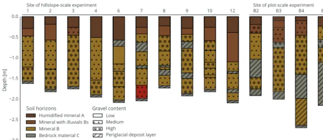 Figure 6. Recovered dye patterns in plot irrigation experiments.(a) Excavated vertical faces, (b) horizontal cuts in 0.5 m depth.Dashed lines indicate level of periglacial deposit layer.