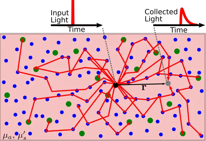 Figure 2.5: A schematic of a time domain measurement in an inﬁnite homogeneous medium (i.e., µa andµ′s are constants)