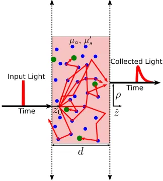 Figure 2.7: Schematic of inﬁnite slab geometry DOS. A thin ‘pencil’ beam of light introduced to the tissueat ρ = 0, z = 0 is well modeled as a point source at ρ = 0, z = z0 ∼ l′s.
