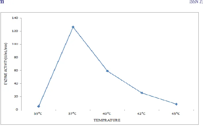 Fig 5: Effect of incubation time on protease production 