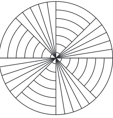 Figure 4.1: The geometric structure on a computable neighborhood lo-