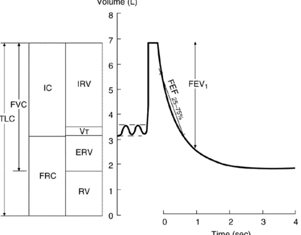 Figure 2.3. Lung volumes, capacities and flow rates. 