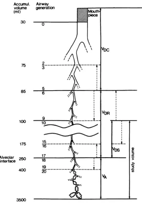 Figure 3.3. Partitioning of the lung in common dead space (VDC), regional dead space (VDR) and alveolar gas volume (VA)