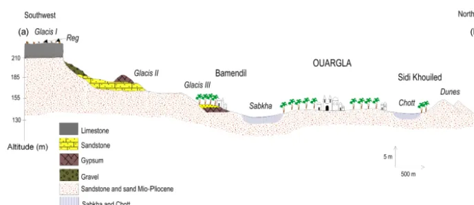 Figure 2. Geologic cross section in the region of Ouargla. The blue pattern used for chott and sabkha correspond to the limit of the saturatedzone.