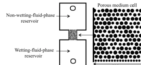 Figure 1. A depiction of the two-dimensional micromodel that wasused in the displacement experiment