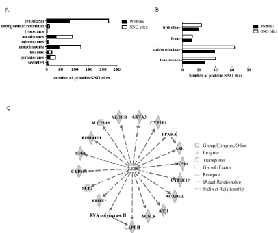 Figure S2.3: Ontological analysis of liver S-nitrosoproteome. (A) Histogram of subcellular localization represented by number of proteins (black bars) and total S-nitrosocysteine (SNO) sites (open bars)