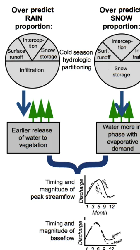 Figure 1. Precipitation phase has numerous implications for mod-eling the magnitude, storage, partitioning, and timing of water in-puts and outputs