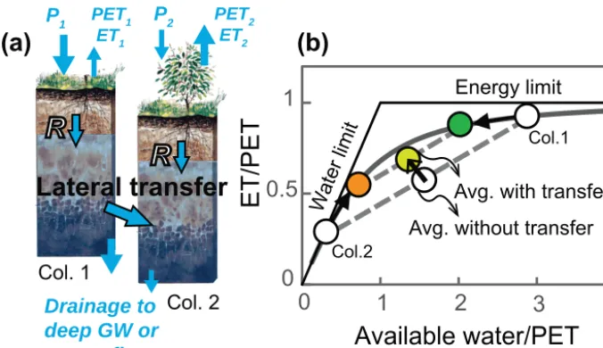 Figure 6. (a) A conceptual two-column model. (b) Illustration of how the two points representing the two columns shift towards each otherin Budyko space if water is transferred from the upper, wetter column to the lower, drier column