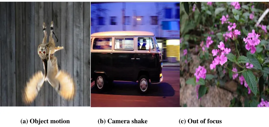 Fig 1.1 various types of blur 