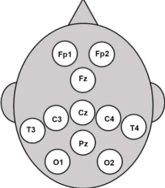 Figure 2. Names and positions of electrodes from [26]. 