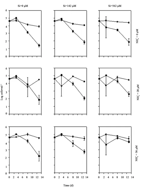 Figure 3. The effect of increasing  concentration on the cell densities of Coscinodiscus sp