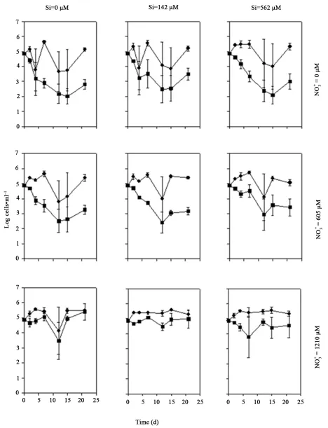 Figure 4. The effect of increasing  concentration on the cell densities of Coscinodiscus sp