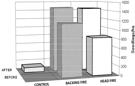 Figure 2. Comparison of the mean number of seedlings/ha before and after pre-