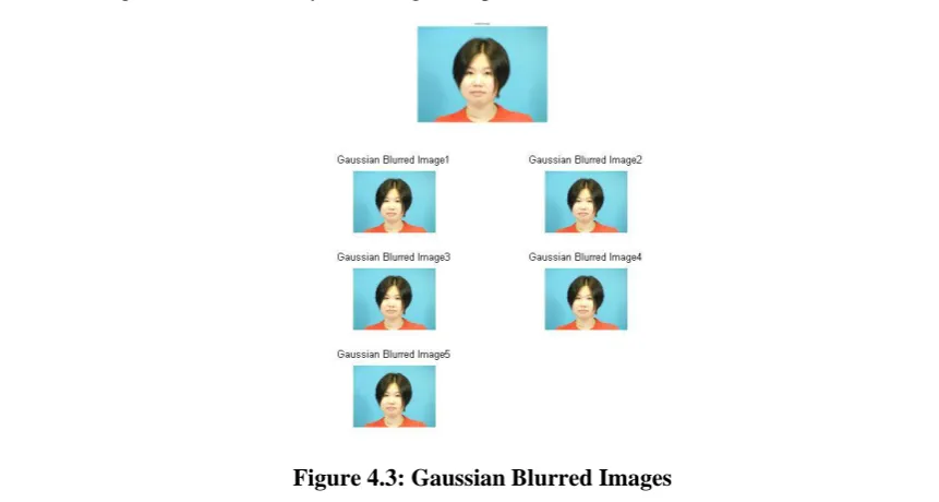Figure 4.2: Original Image 