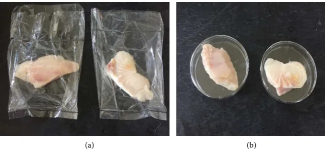 Figure 1. Packaging conditions used to examine microbial growth on thawed catfish fil-lets