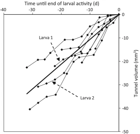 Figure 8 shows the time courses of tunnel cross-sec-