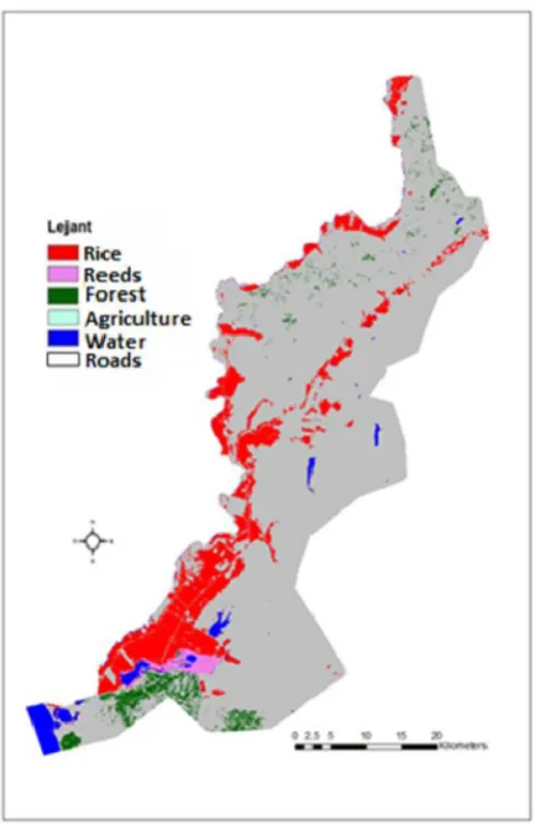 Fig 1. Land use and vegetation cover distribution of year of 2001(Landsat TM image)