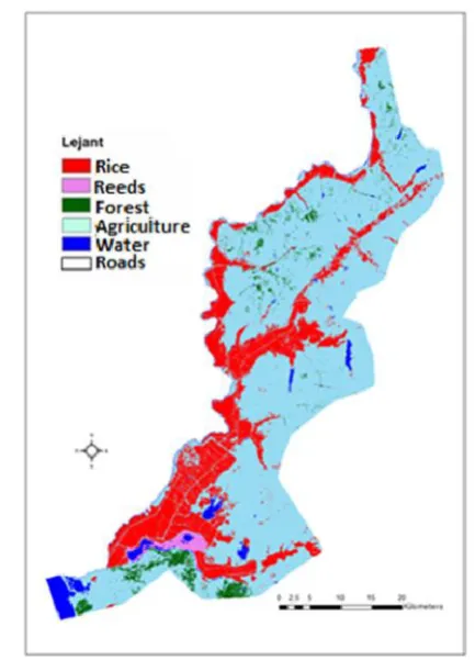 Table 2. Land use and vegetation cover distribution of year of2006 (Landsat TM image)
