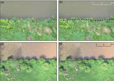 Figure 5. Determination of water surface areas:covered by soil-turf overhangs, (a, b) as a line connecting the gaps between the clumps of grass on undercut river bank (c, d) as a line interpolated between last exposed parts of riverbank at both ends of woodlots or bushes.