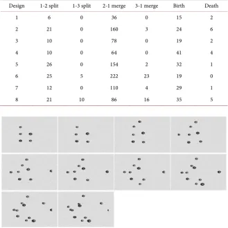 Table 2. Average number of target split, merge, birth and death events occurred per an experimental run