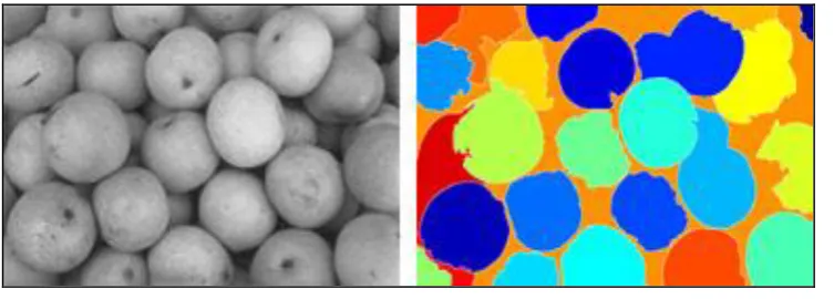 Figure 1: Image Segmentation Sample 