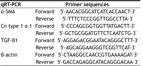 TABLE 1: THE PRIMERS USED IN THE STUDY