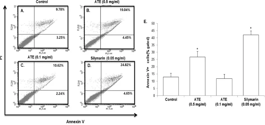 Fig. 2: Effect of ATE on the cell cycle in HSC-T6 cells DNA content in different phases of cell cycle was measured using flow cytometry with propidium iodide