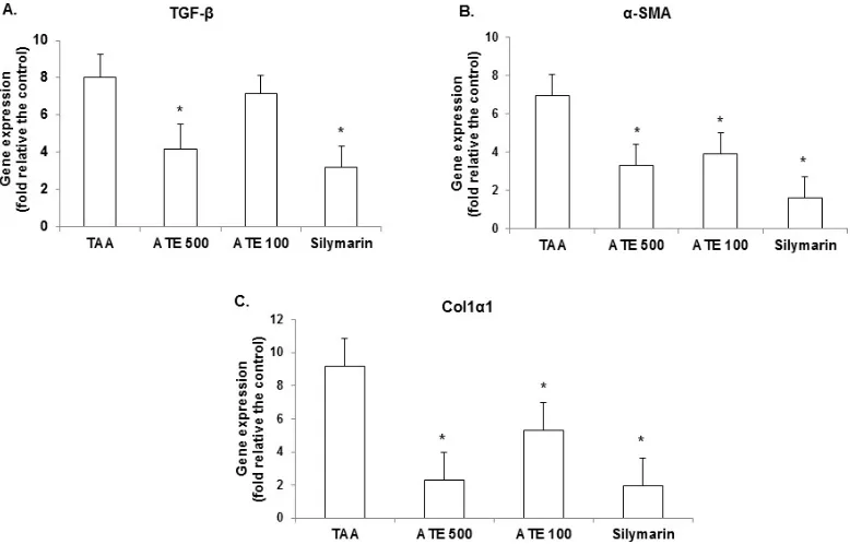 Fig. 6: Effect of ATE on TAA-induced fibrosis by Masson’s trichrome stain of TAA-induced rat liver tissues This stain was performed similar to H&E stain