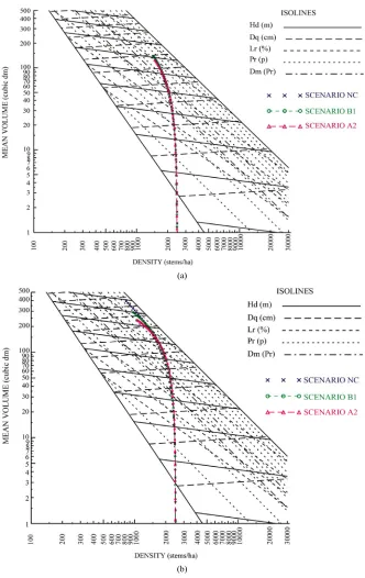 Figure 1. (a) Temporal size-density trajectories by scenario for jack pine plantations managed under a basic sil-