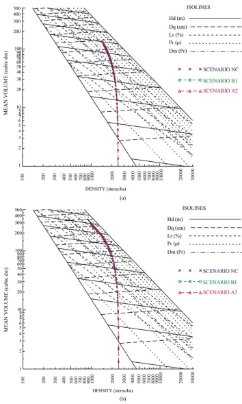 Figure 2. (a) Temporal size-density trajectories by scenario for jack pine plantations managed under a basic silvicultural 