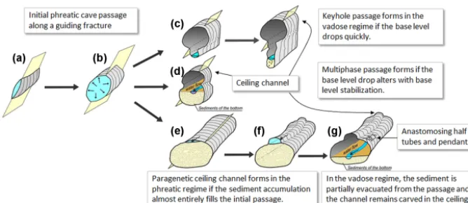 Figure 1. Schematic evolution of the passages in phreatic and vadose hydrological regime under conditions of high sediment ﬂux andfollowing abandonment (modiﬁed after Farrant and Smart, 2011)