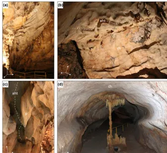 Figure 2. Examples of ceiling channels (ch), pendants (p), and anastomosing half tubes (aht) in the Domica cave as speleoforms associatedwith the phreatic regime