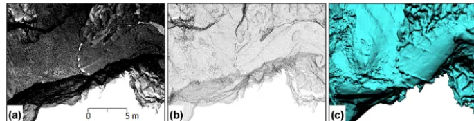Figure 4. Point cloud from the Gothic Dome orthogonally projected on a horizontal plane representing 2 % of the full resolution as exportedgenerated fromfrom the SCENE project (a), after subsampling the points at 5 cm minimal spacing (b), and as a continuous 3-D cave surface model (c) (b) with the octree depth of 12.