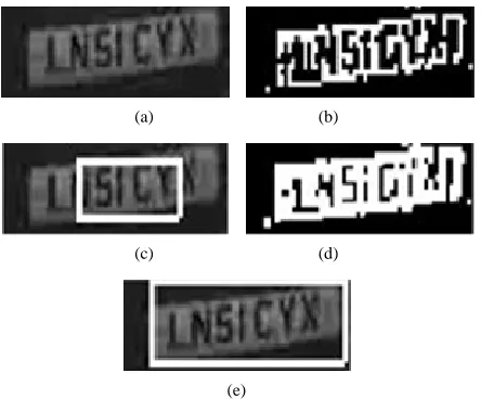 Figure 5. (a) Output after dilation step; (b) Region growing segmentation output.  