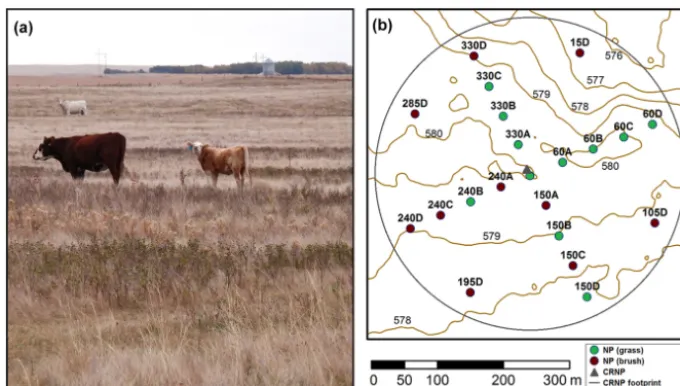 Figure 1. Experimental site: (a) photo of the pasture, and (b) map showing elevation contours and the locations of soil moisture instrumen-tation.
