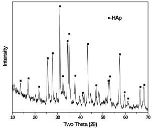 Fig. 3. XRD Pattern of synthesized HAp powder from Fish scale