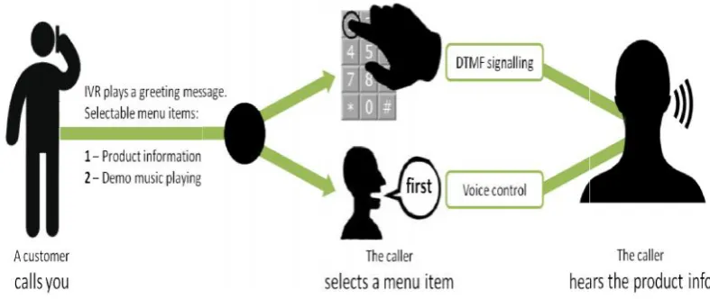 Figure 1. IVR SetupFigure 1. IVR SetupFigure 1. IVR Setup