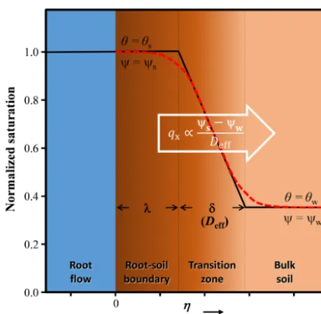 Fig. A1, the part of soil next to the root ﬂow absorbs waterand form a thin, saturated boundary of width λ