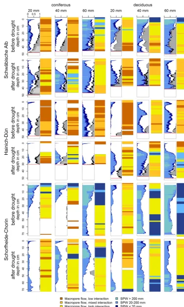 Figure 8. Comparison between before drought (2011) and after drought (2013) stained path widths (SPWs) and ﬂow processes for coniferousand deciduous stand plots