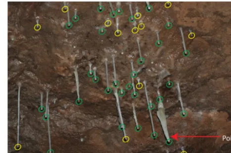 Figure 7. Actively dripping stalactite count. Green circles are sta-lactites identiﬁed as active in terms of dripping (displaying waterdroplets and/or white ﬂash at their tip) and yellow ones are inactive.In this photo, 32 green circles and 13 yellow ones are counted.