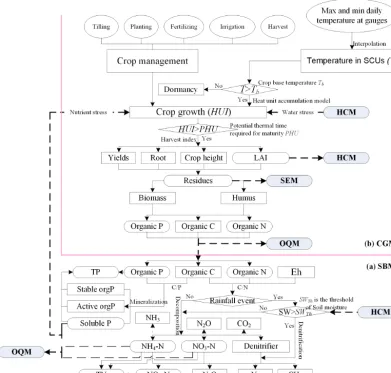 Figure 3. The ﬂowchart of SBM (a) and CGM (b) in the ecological part and the interactions with other modules.