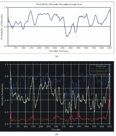 Figure 2. Predictions of ISD for native EWS protein: (a) Predictions of ID for native EWS by RONN; (b) Predictions of ID for native EWS by DisEMBLs