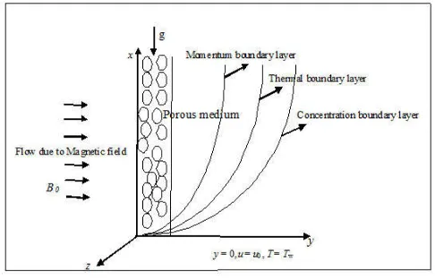Figure 1. Physical configuration of the problem 