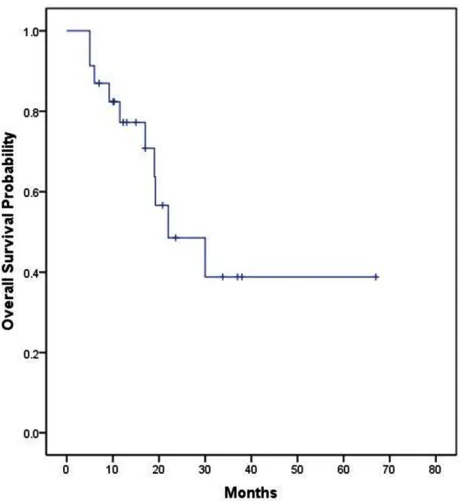 Figure 2. Overall survival of patients receiving first- and/or second-line colorectal chemotherapy regimens (n = 29)