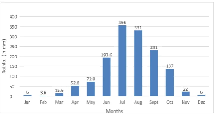 Figure No.3: Monthly rainfall in the year 2013 