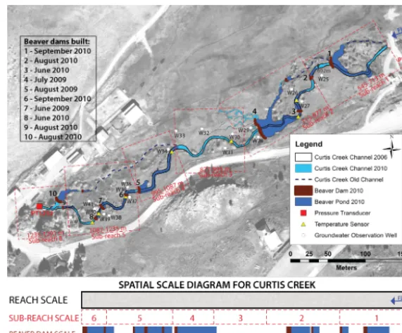 Figure 1. Aerial image from 2006 (pre-beaver period) and beaver dams constructed between 2009 and 2010