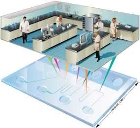 Figure 1.1  : A schematic depiction of the integration and miniaturization of laboratory functions onto a chip (Chow 2002)